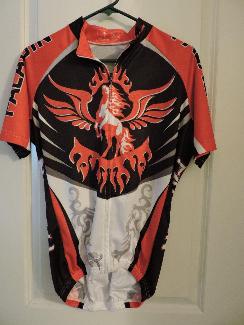 Paladin Cycling Jersey